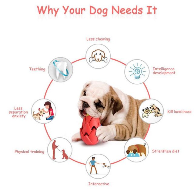 Indestructible Pitaya Dog Chew Toy for Aggressive Chewers - Image 4