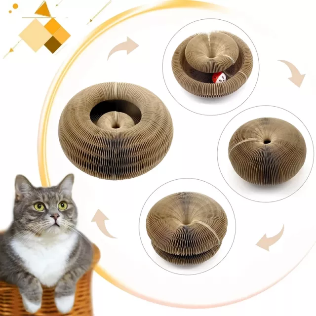 Magic Organ Cat Scratcher Toy - Image 4