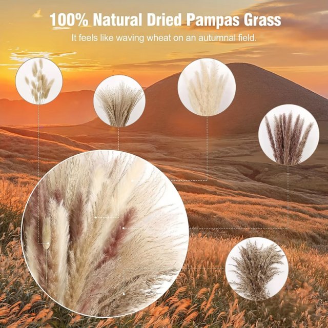 105pcs Natural Dried Flowers Pampas Grass Bouquet - Image 3
