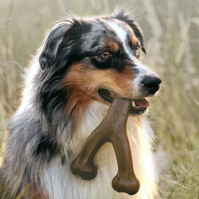Durable Nylon Dog Chew Toy – Long-Lasting Chewing Fun for Aggressive Chewers - Image 6
