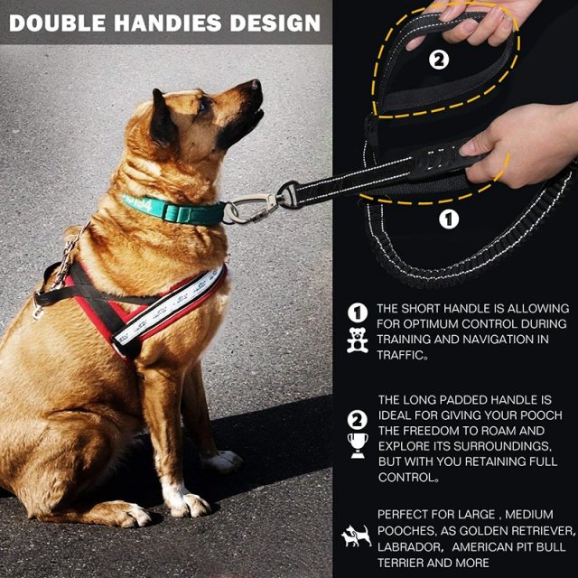 Durable Reflective Bungee Dog Leash - Image 2