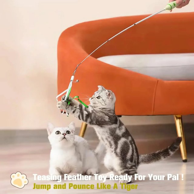 Interactive Retractable Cat Toy with Laser, Feather Teaser, and Telescopic Wand for Cats - Image 4