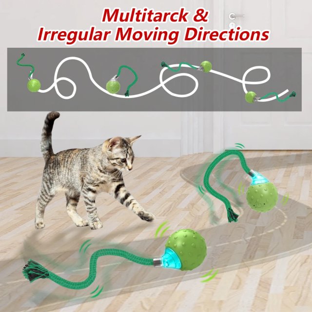 Interactive Motion-Activated Cat Toy with Rolling Ball, Teaser Tail, and Bird Sounds - Image 4