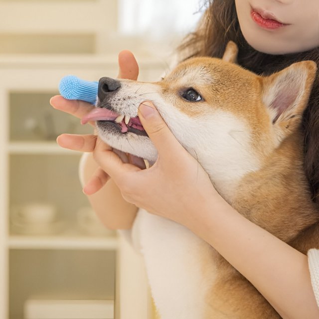 Super Soft Pet Finger Toothbrush - Image 3