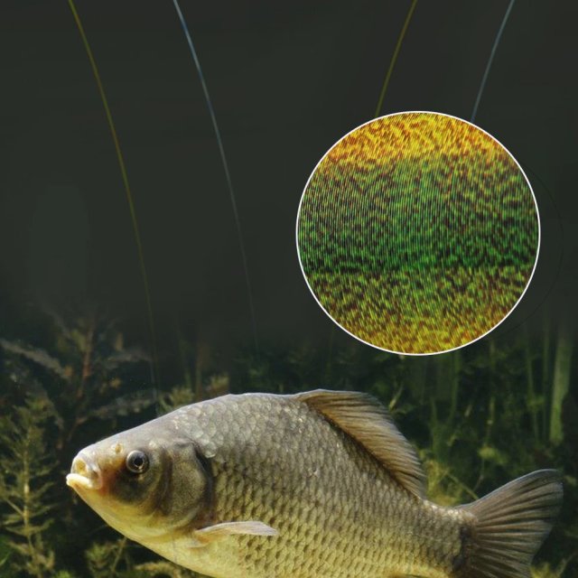 Super Strong Invisible Fluorocarbon Fishing Line - Image 5