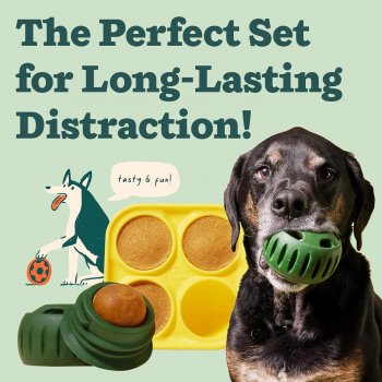 Refillable Dog Treat Mold & Durable Chew Ball Combo
