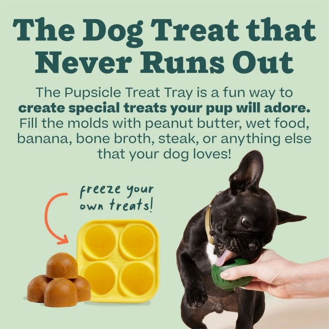 Refillable Dog Treat Mold & Durable Chew Ball Combo - Image 4