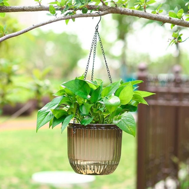 Hydroponic Hanging Flowerpot - Image 3