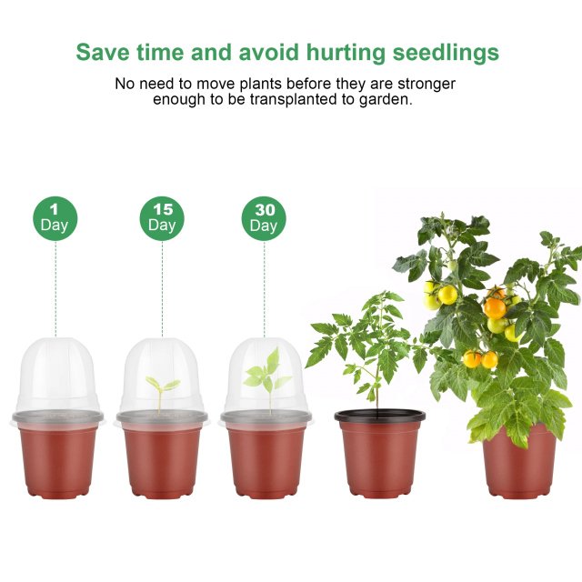 4-Inch Plant Nursery Pots with Humidity Domes - Image 3
