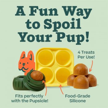 Refillable Dog Treat Mold & Durable Chew Ball Combo