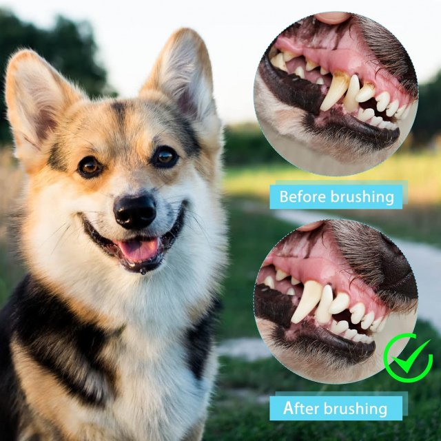 Super Soft Pet Finger Toothbrush - Image 6
