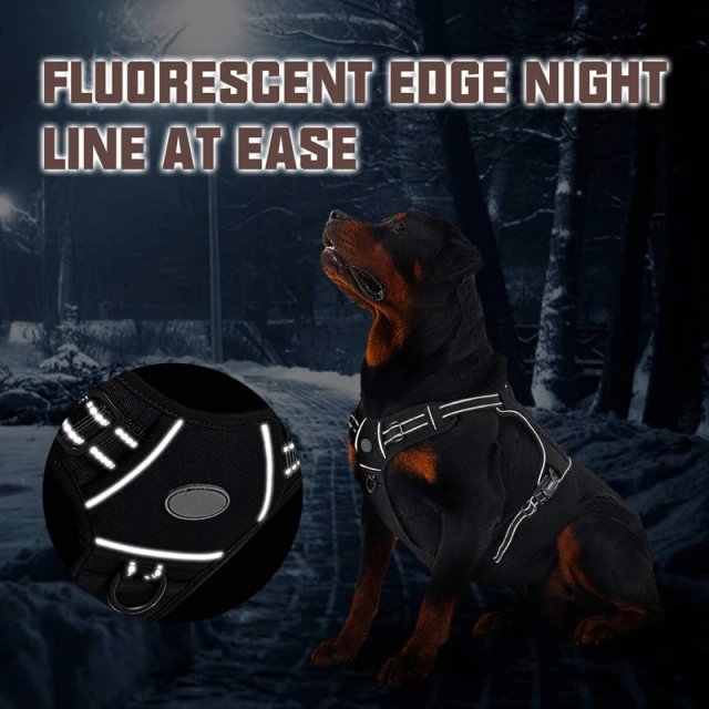 Adjustable Tactical Dog Harness for Large Breeds - Image 5