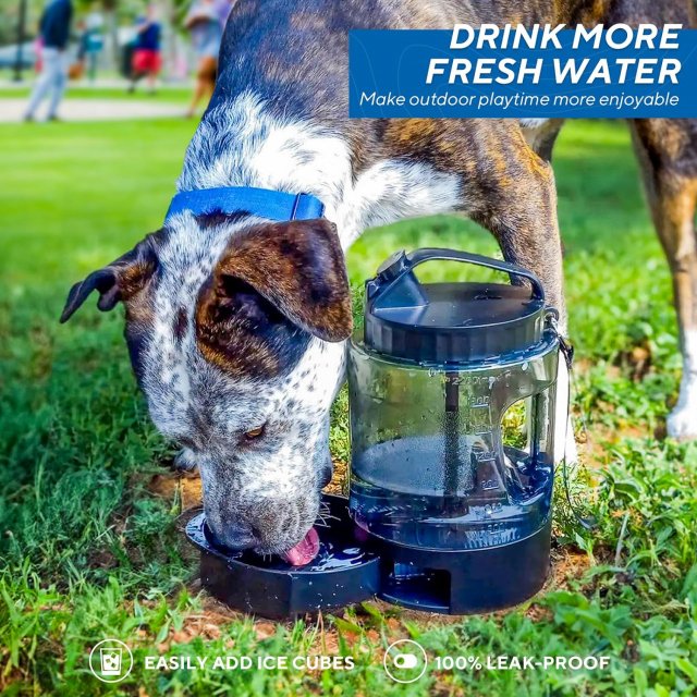 74oz Large Capacity Pet Water Dispenser with Pull-Out Bowl - Image 4