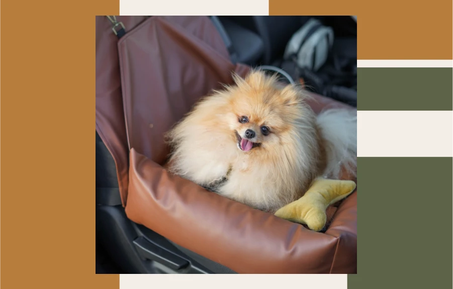 car booster seat for dogs