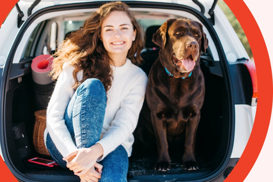 car seat hammock for dogs