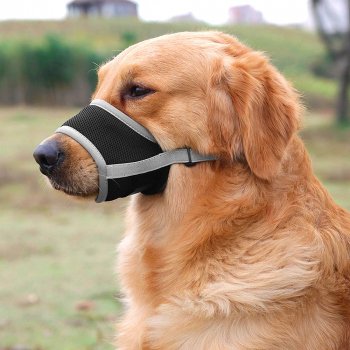 Adjustable Breathable Dog Muzzles for Small and Medium Dogs
