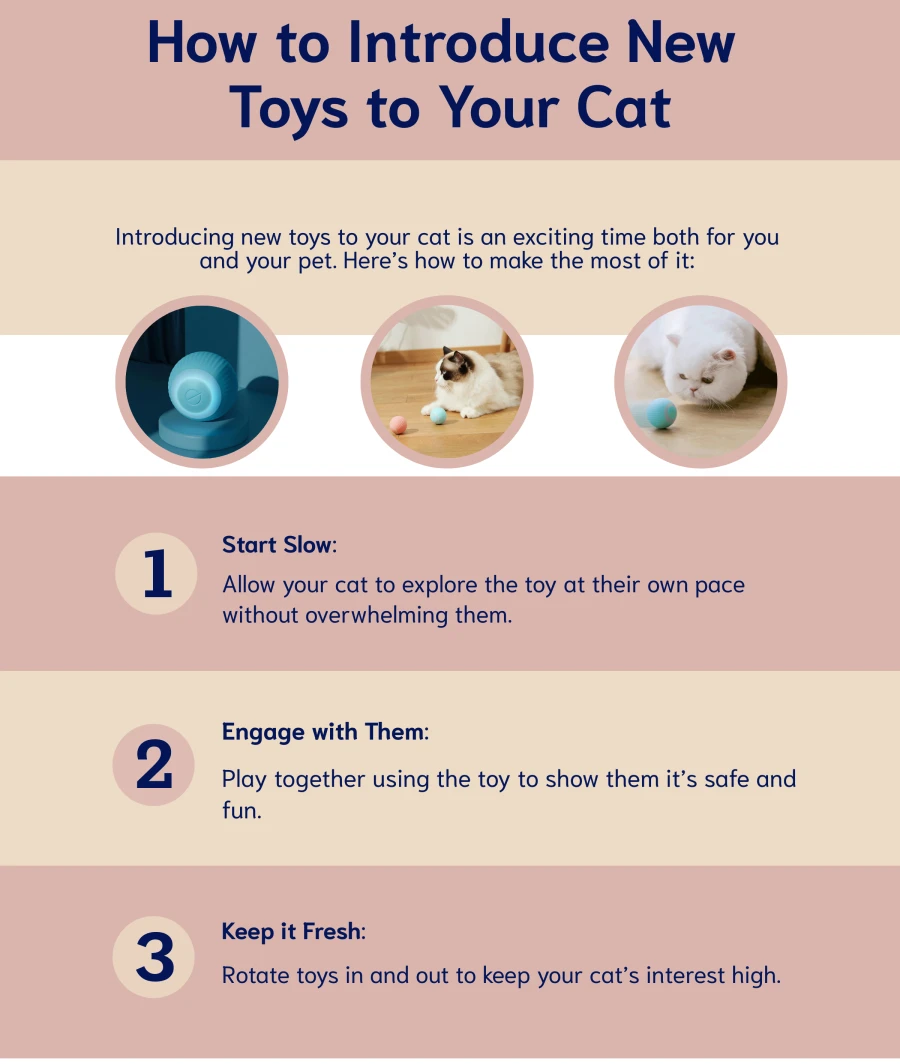 stimulating cat toy for indoor cats