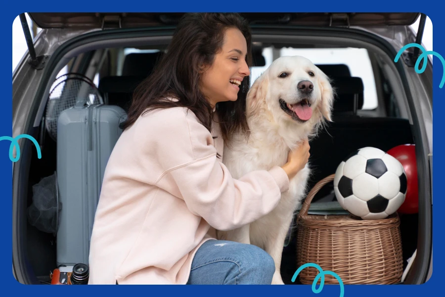 best car dog hammock