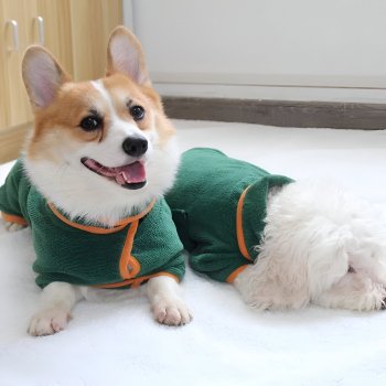 Dog Bathrobe Towel