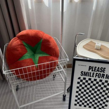 Cozy Vegetable Decorative Pillow