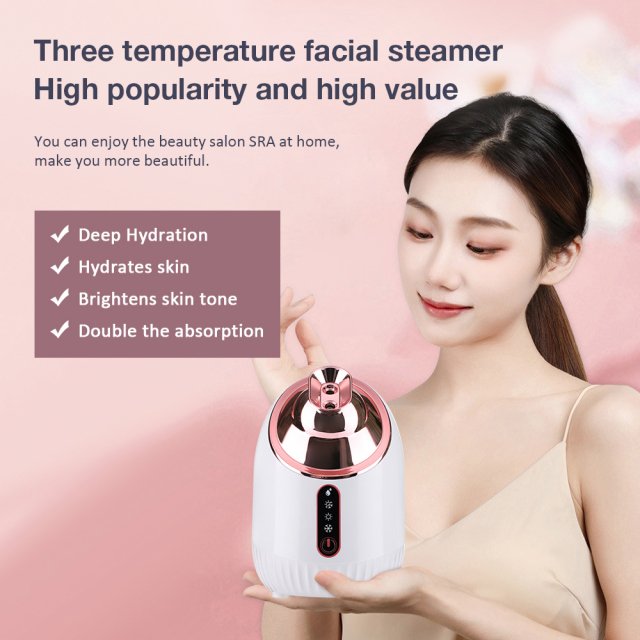 Facial Steamer Cold Hot Warm Mist - Image 6