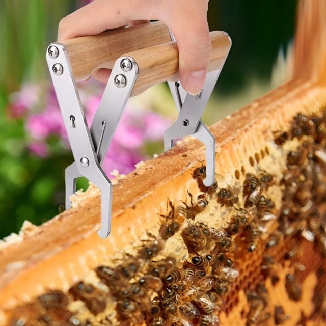 Bee Hive Frame Clamp