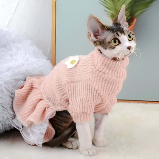 Fashionable Cat Dress - Cute Kitten Outfit for Autumn and Winter