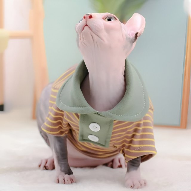 Elastic Velvet Polo Shirt for Hairless Cats - Stylish Autumn & Winter Cat Clothes - Image 4