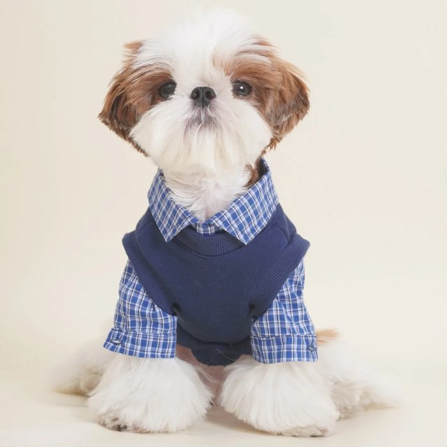 Checkered Hoodie with Bear Patch for Small Dogs - Image 3