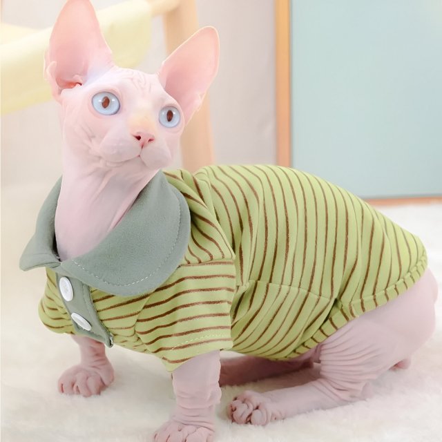 Elastic Velvet Polo Shirt for Hairless Cats - Stylish Autumn & Winter Cat Clothes - Image 5