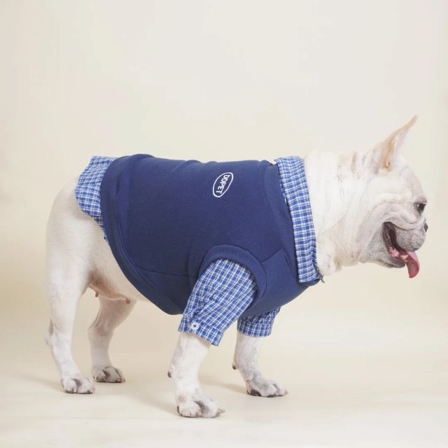 Checkered Hoodie with Bear Patch for Small Dogs - Image 5