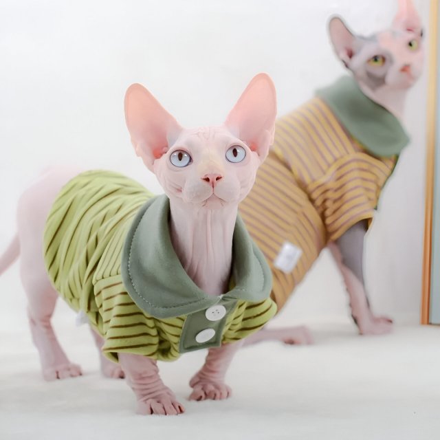 Elastic Velvet Polo Shirt for Hairless Cats - Stylish Autumn & Winter Cat Clothes - Image 3