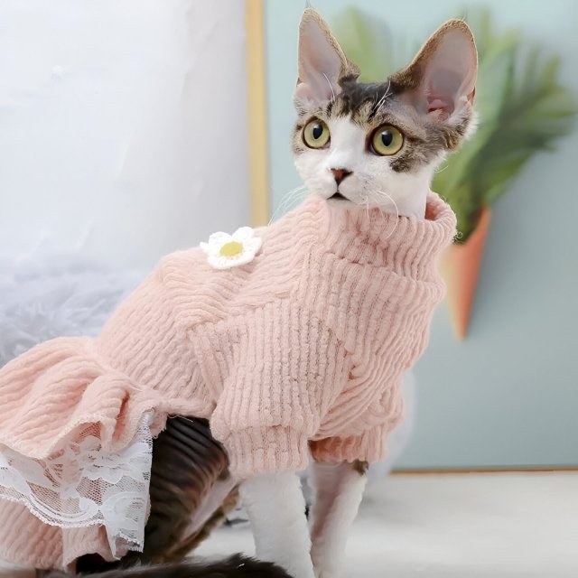 Fashionable Cat Dress - Cute Kitten Outfit for Autumn and Winter - Image 4