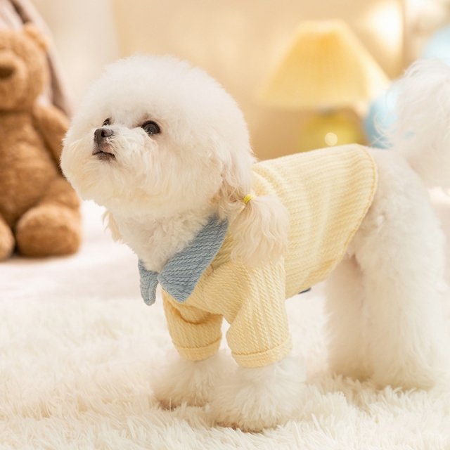 Simple Color-Block Winter Dog Shirt - Warm Polyester Bottom Shirt for Small Dogs - Image 4