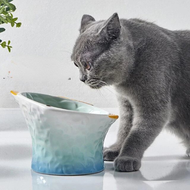 Elevated Ceramic Cat & Dog Bowl - Image 3