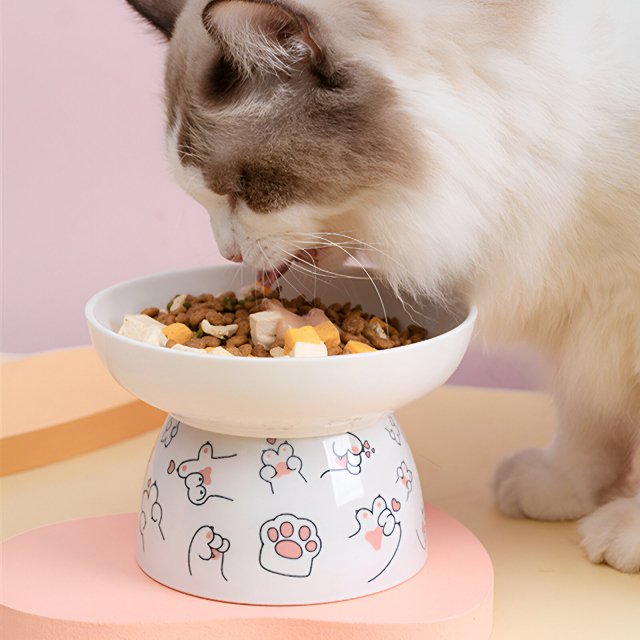 Ergonomic Ceramic Cat Food and Water Bowl with Elevated Design - Image 3