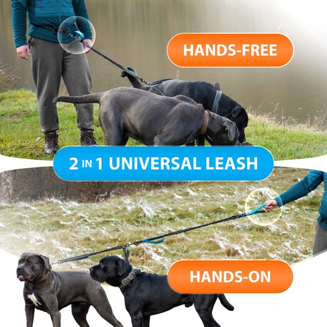 Strong Hands-Free Reflective Double Dog Leash with Padded Handles - Image 5