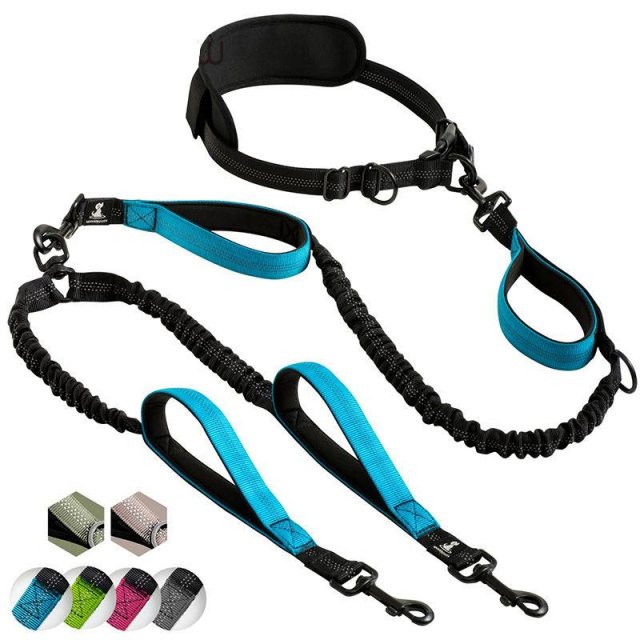 Strong Hands-Free Reflective Double Dog Leash with Padded Handles