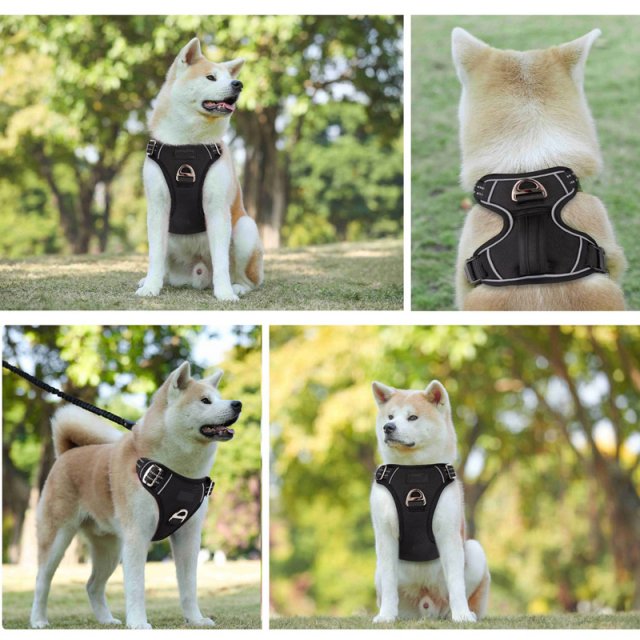 No Pull Dog Harness with Handle - Image 5