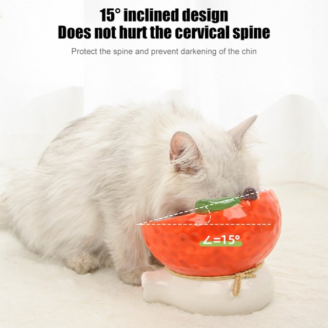 Elevated Ceramic Cat & Small Dog Food and Water Bowl - Image 3