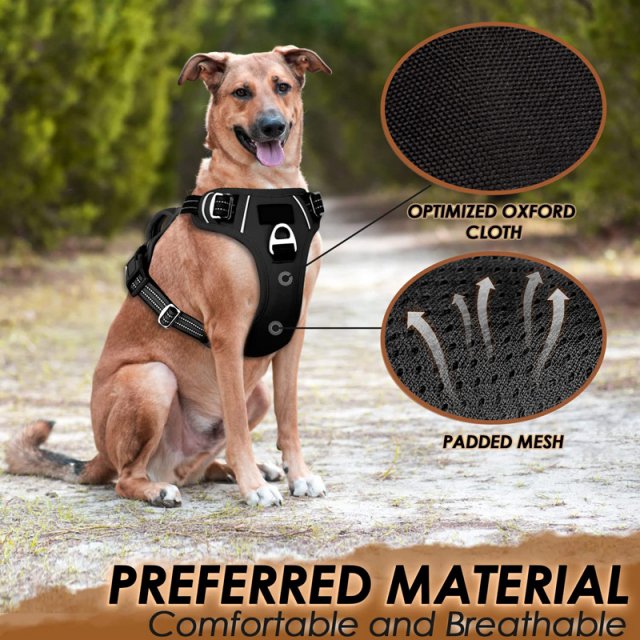 No Pull Dog Harness with Handle - Image 3