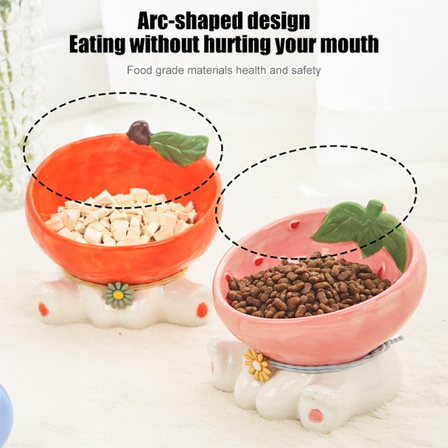 Elevated Ceramic Cat & Small Dog Food and Water Bowl - Image 4