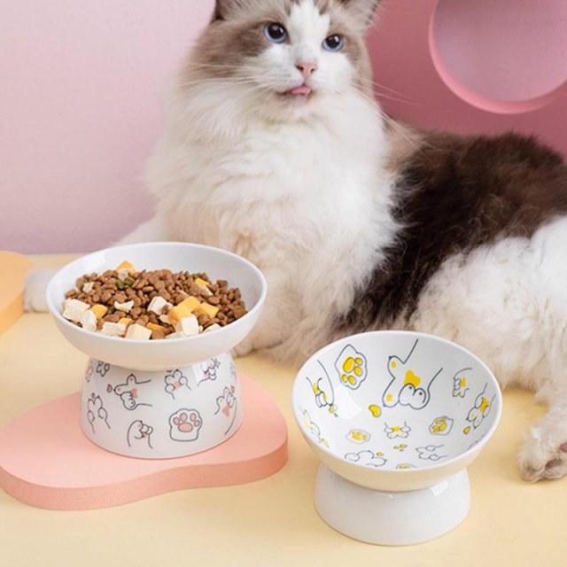 Ergonomic Ceramic Cat Food and Water Bowl with Elevated Design