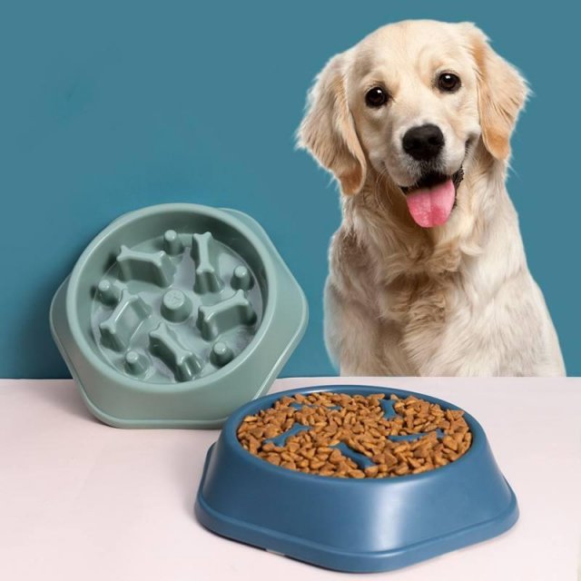 Pet Slow Feeder Bowl for Cats and Dogs