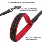 Reflective Padded Dog Leash With Dual Handles For All Breeds 4 365B05210Fdf1069D369Ba1E13963037.Jpg