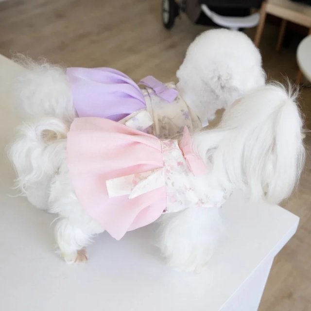 Floral Summer Dress for Small Dogs - Image 5