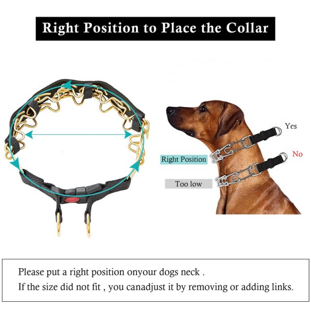 Adjustable Stainless Steel Dog Prong Collar - Image 3