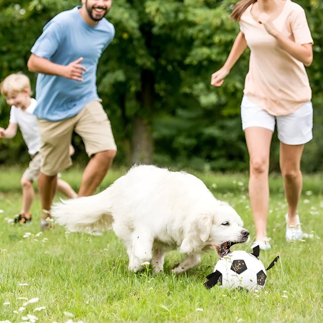 Chew-Proof Large Dog Ball, Durable Rubber Tug Toy - Image 4