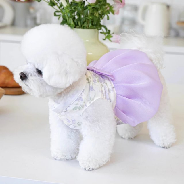 Floral Summer Dress for Small Dogs - Image 6