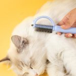 Double-Sided Stainless Steel Dog Comb 3 41Fb7D6581Dc247Ba0193Aa2Fb2Bd55F.jpg